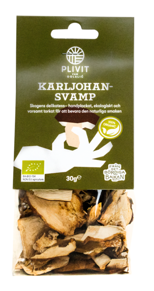 Karl-Johansvamp Torkad